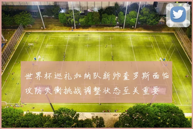 世界杯巡礼加纳队新帅奎罗斯面临攻防失衡挑战调整状态至关重要