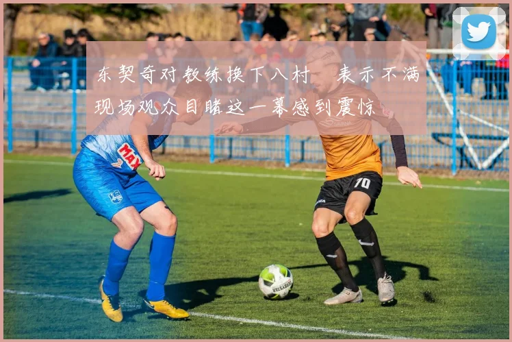 东契奇对教练换下八村塁表示不满现场观众目睹这一幕感到震惊